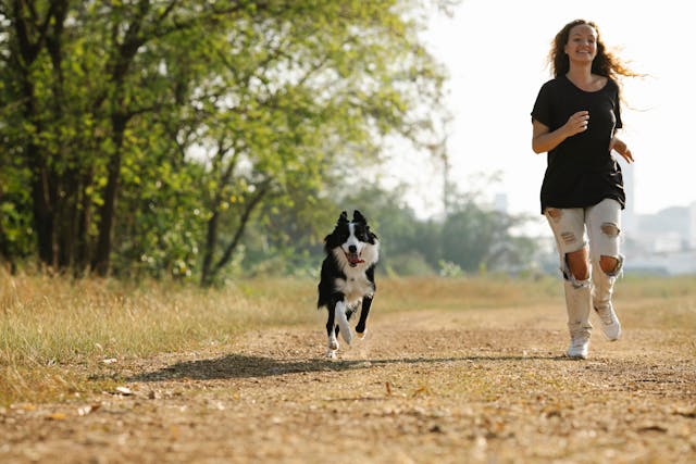 Protect Your Pet from the Summer Heat: 10 Things to Remember